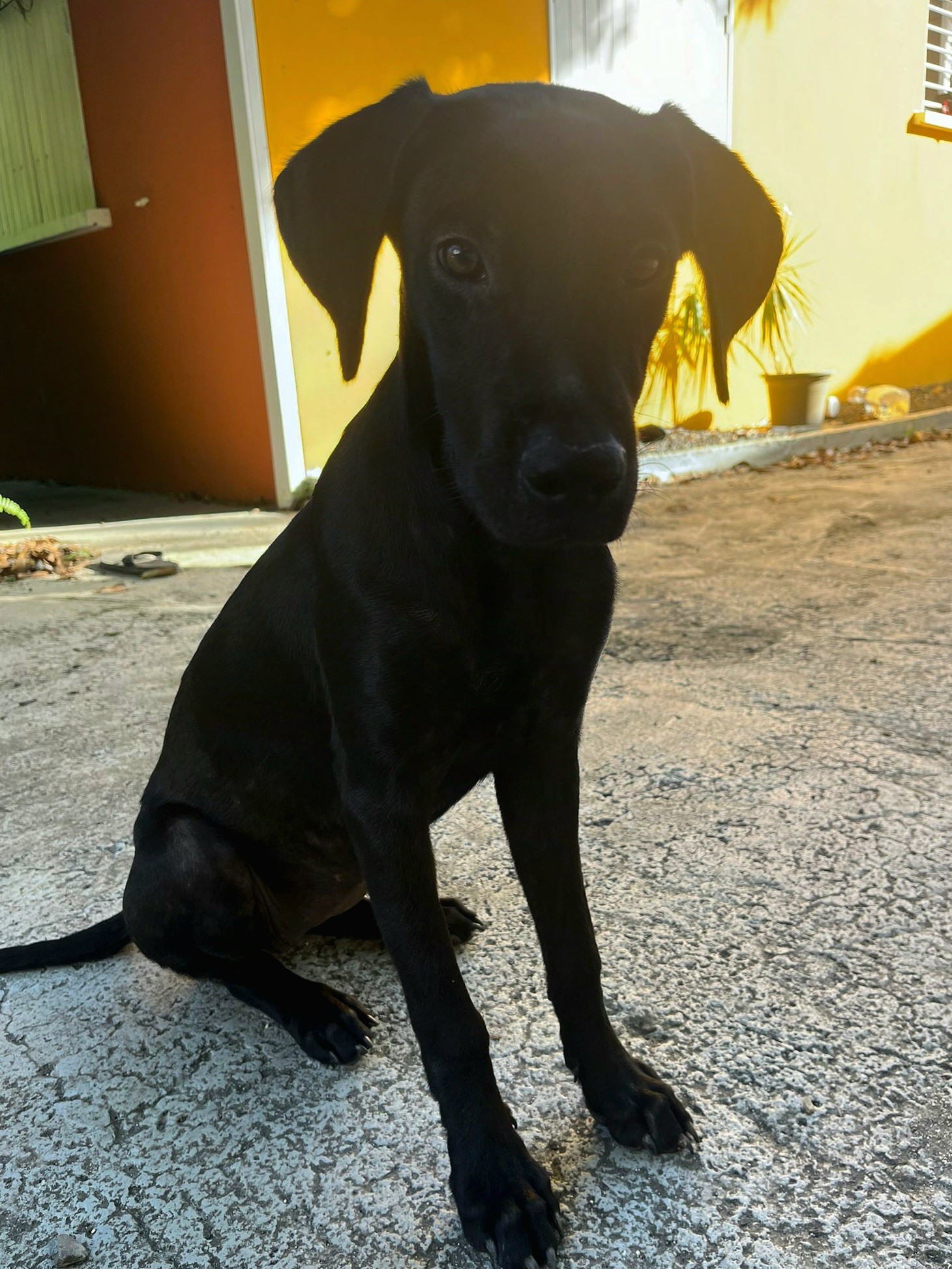 aggia/photo-1751004029972-07.jpg