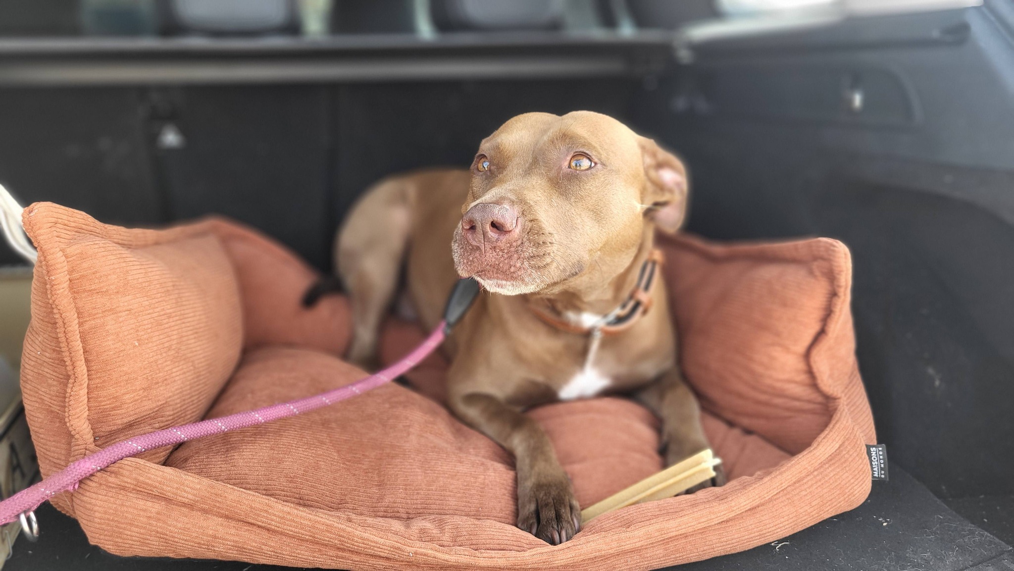 06-715277934_1433272638834961_6397442855977730438_n.jpg