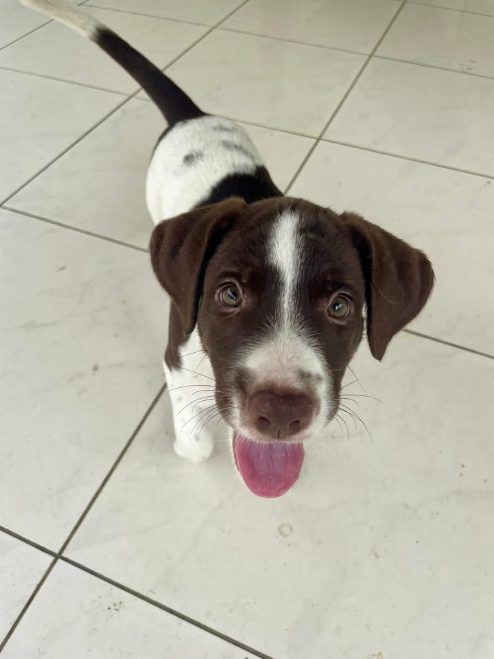 bueno/photo-1746771789375-08.jpg