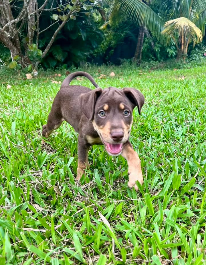 choco/photo-1746771807249-02.jpg
