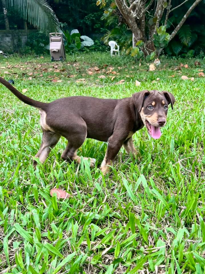 choco/photo-1746771807943-05.jpg
