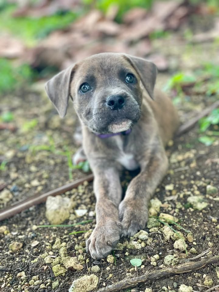 coco/photo-1746771778254-01.jpg