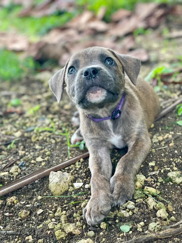 coco/photo-1746771778487-04.jpg