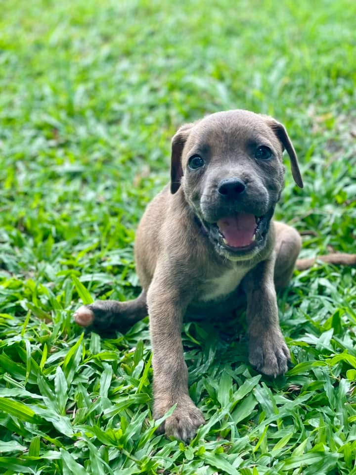 coco/photo-1746771778624-05.jpg