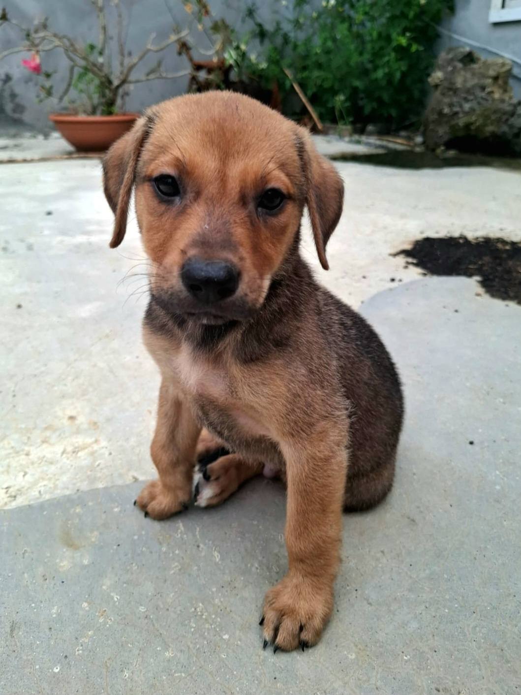 dooguy/photo-1751004144059-01.jpg