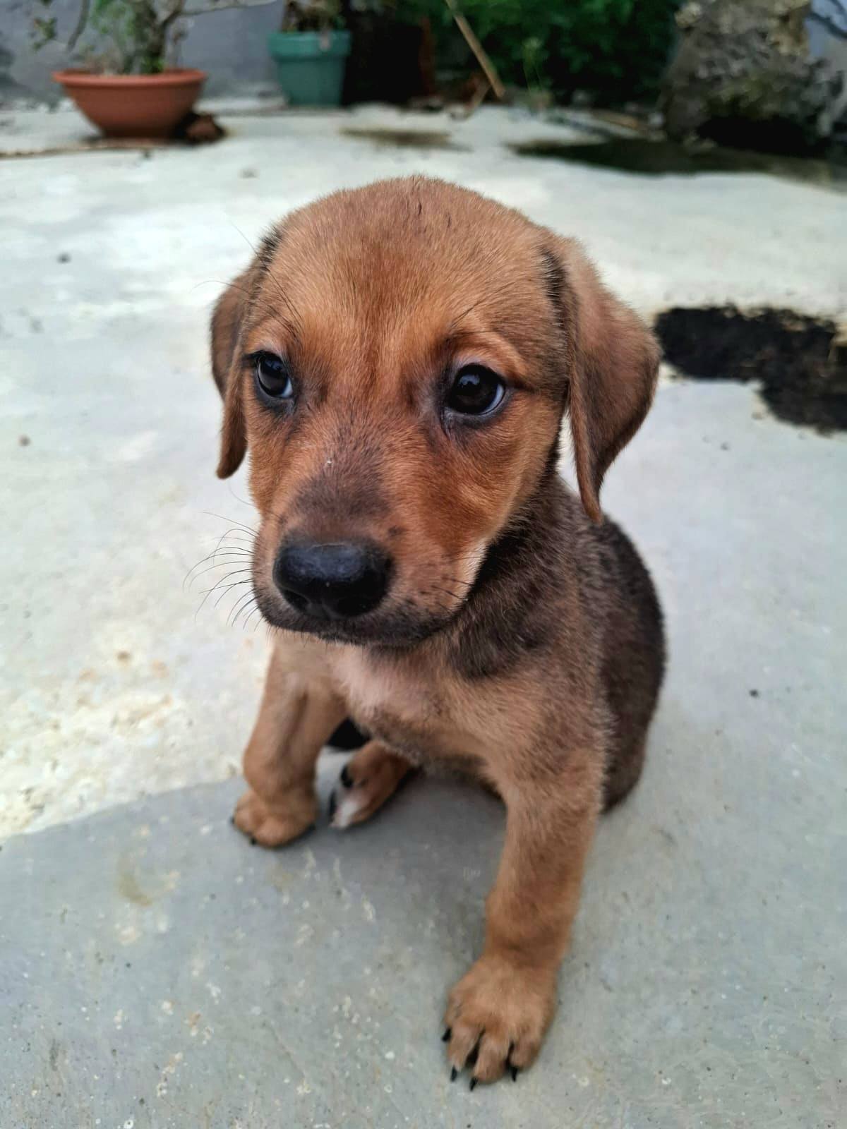dooguy/photo-1751004152609-09.jpg