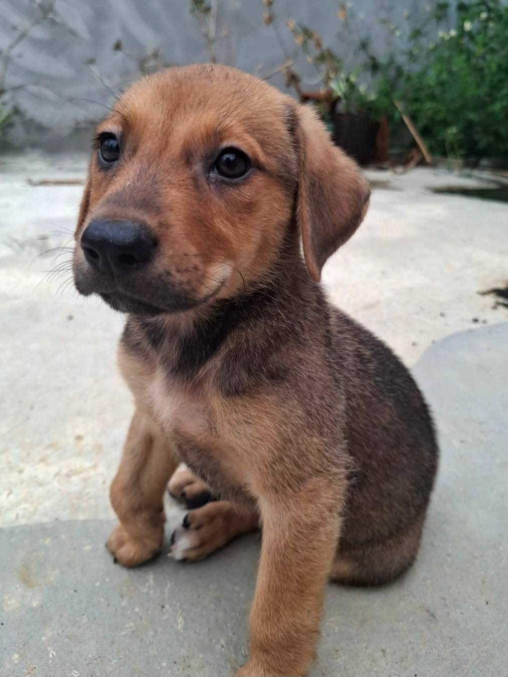dooguy/photo-1751004153973-10.jpg