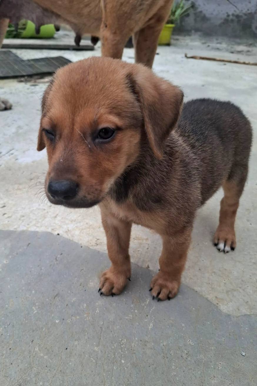 dooguy/photo-1751004157158-13.jpg