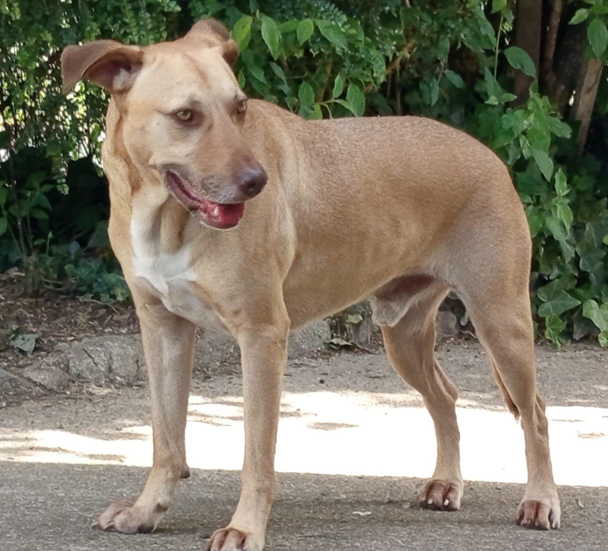 10-723132516_982864647903696_2789708565084935843_n.png