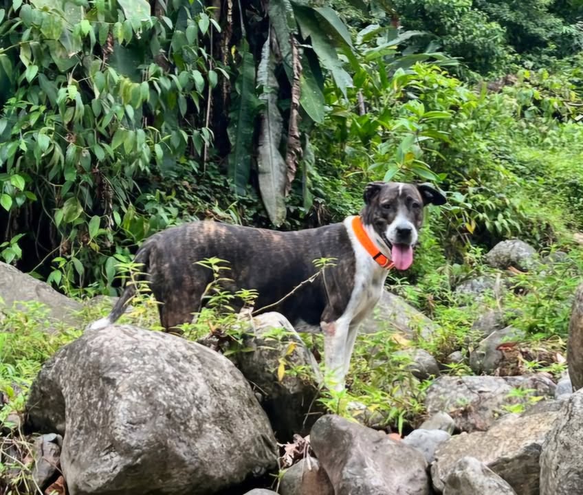 frida/photo-1746771742563-01.jpg