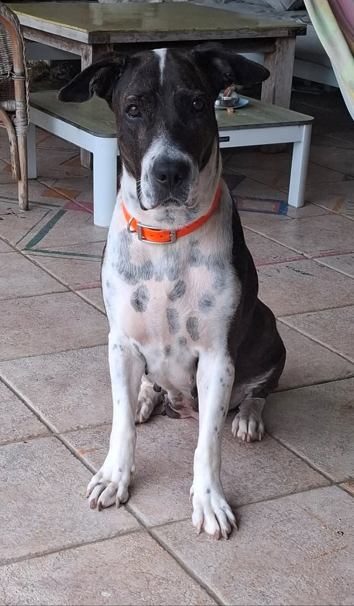 frida/photo-1746771742717-02.jpg
