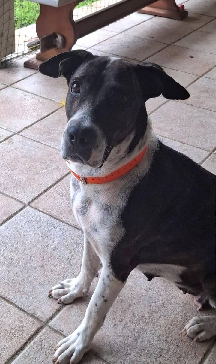 frida/photo-1746771742845-04.jpg
