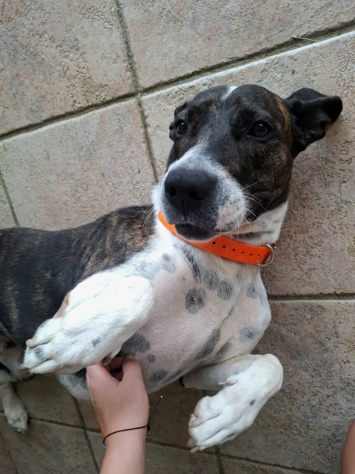 frida/photo-1746771743029-05.jpg