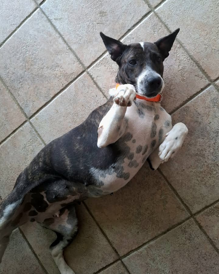 frida/photo-1746771743250-06.jpg