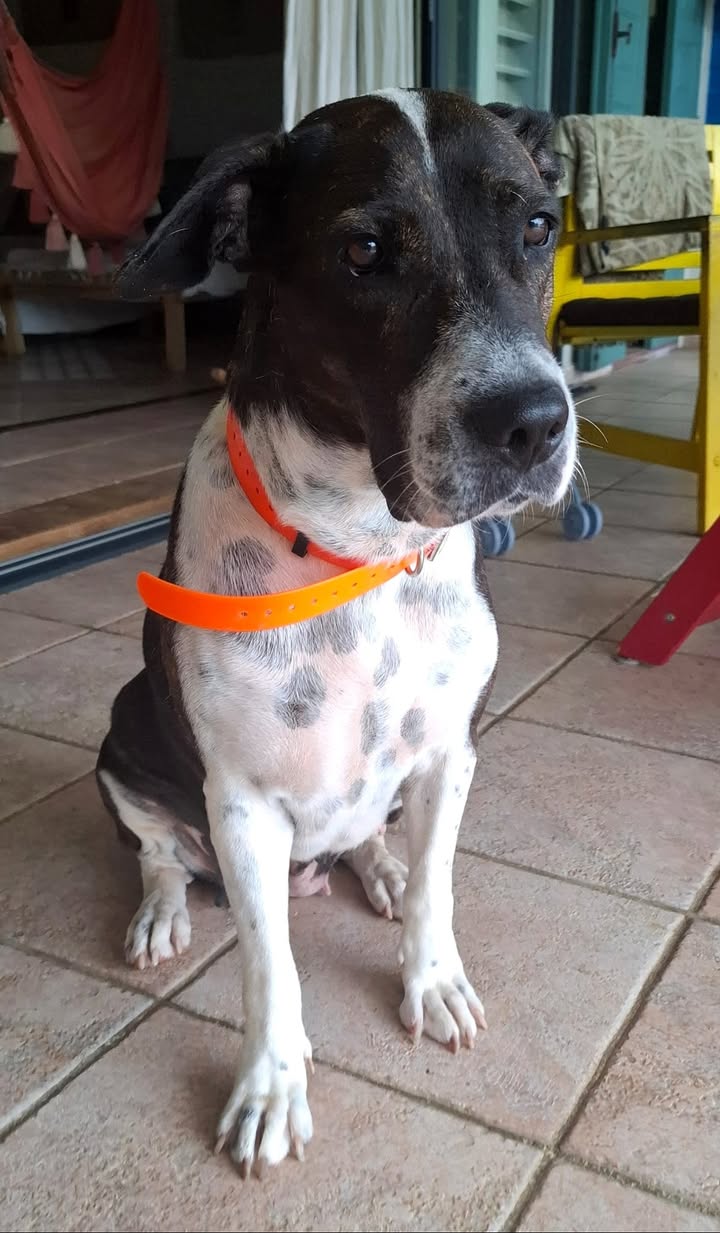 frida/photo-1746771743410-07.jpg