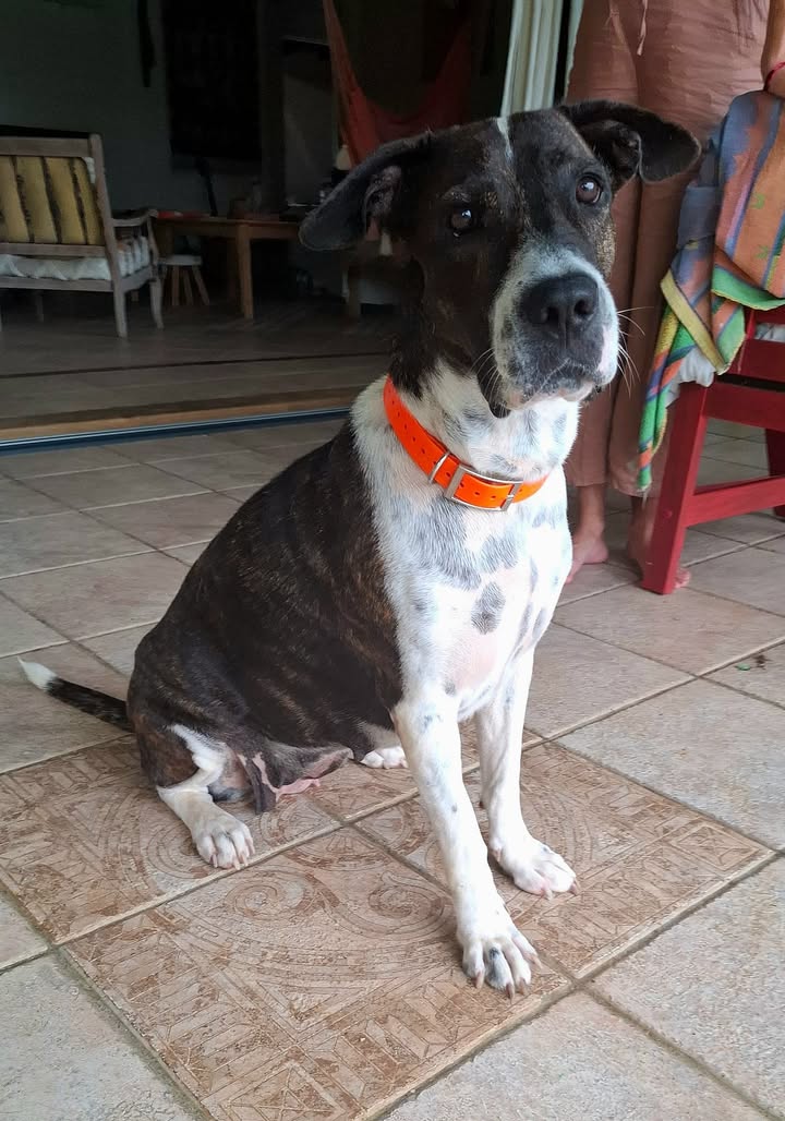 frida/photo-1746771743579-09.jpg