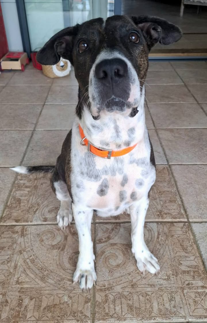 frida/photo-1746771743903-12.jpg