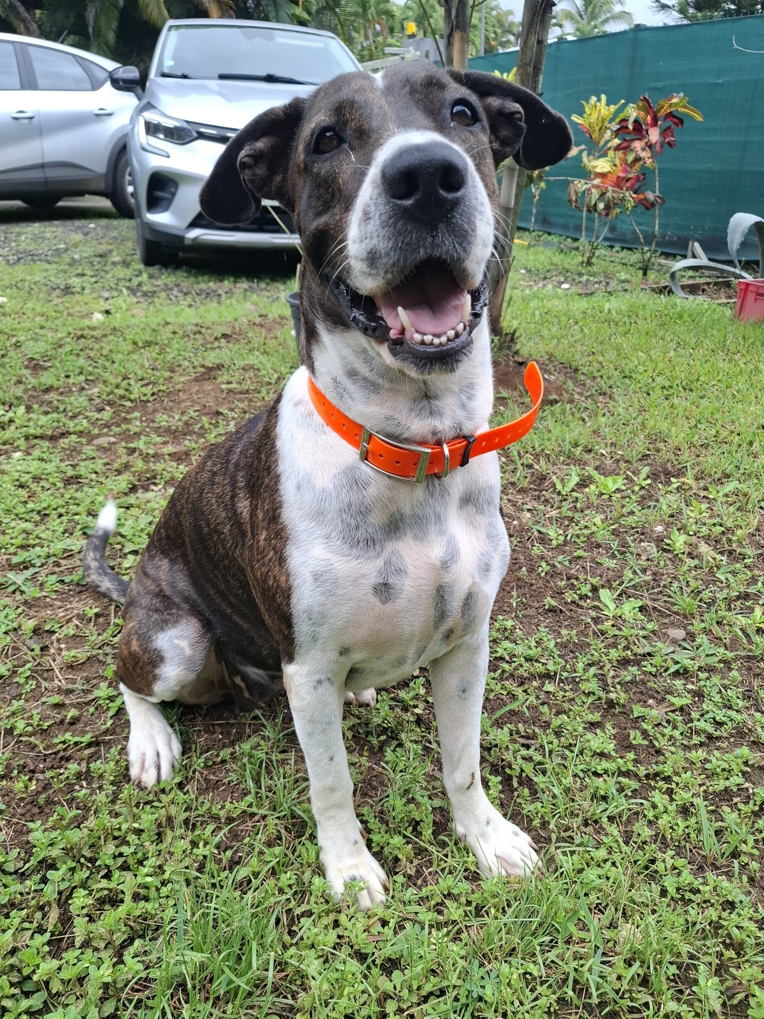 frida/photo-1751004374483-01.jpg