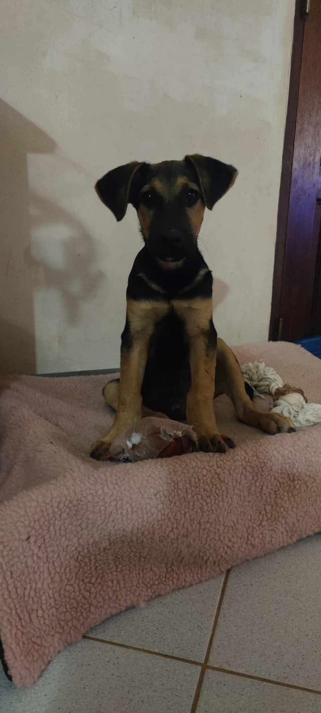 juno/photo-1746771760476-06.jpg