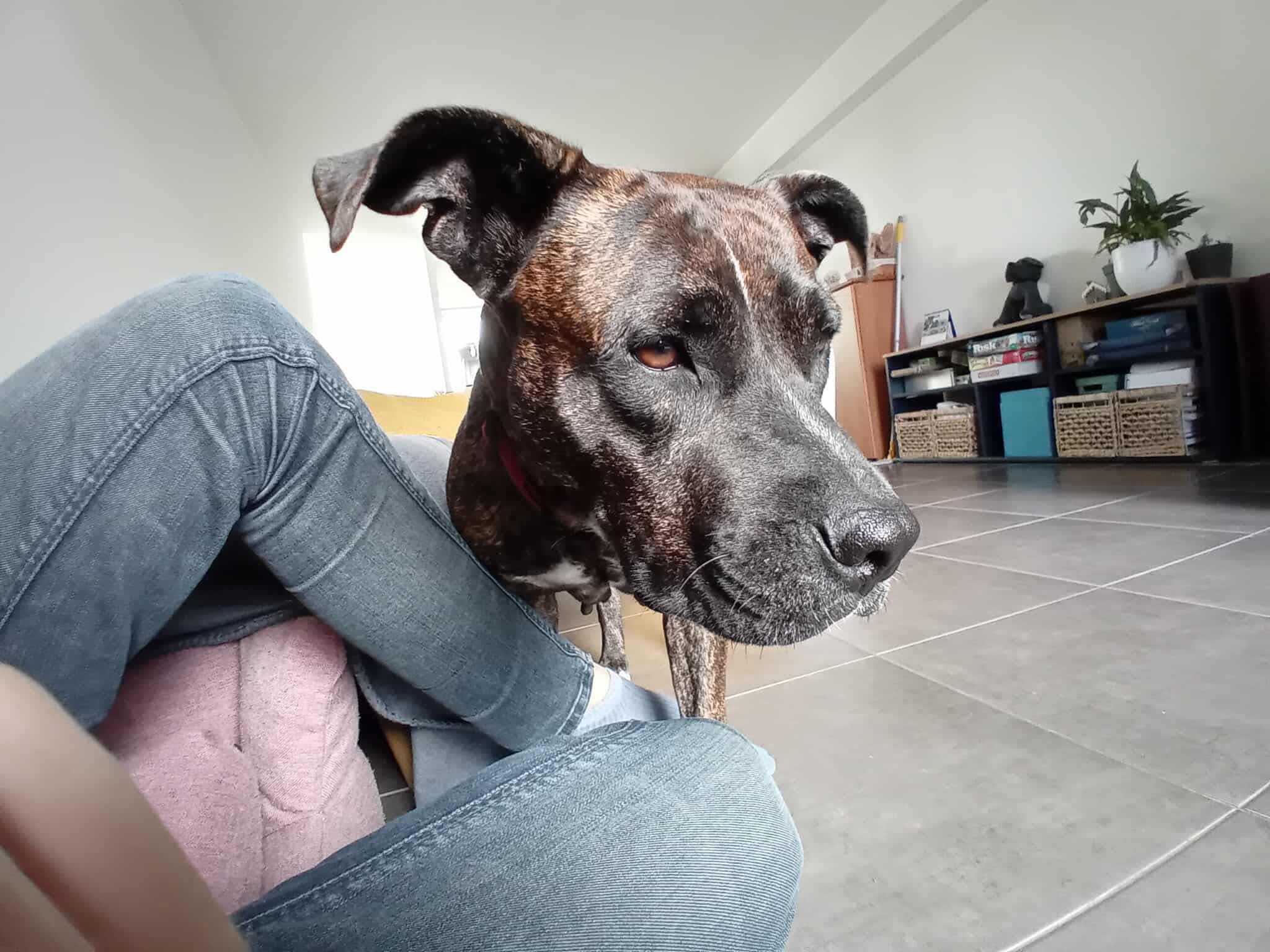 keela/photo-1756364990935-05.jpg