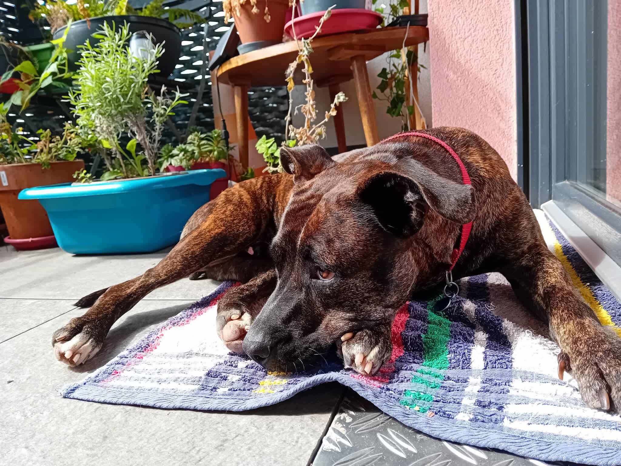 keela/photo-1756364991996-06.jpg