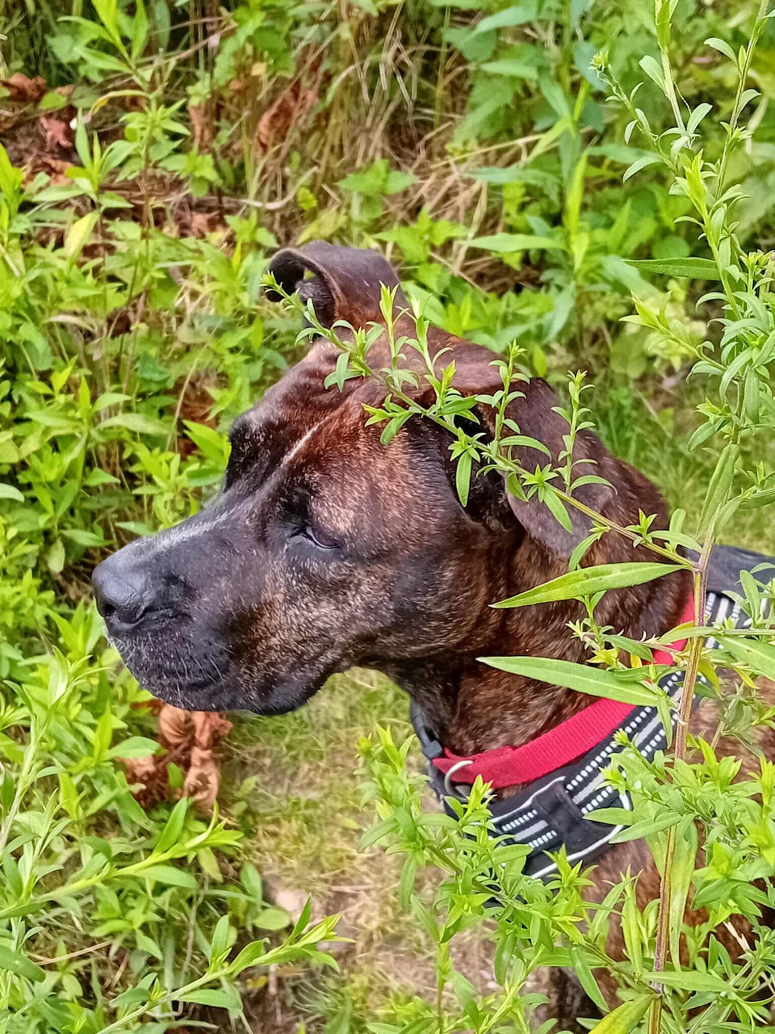 keela/photo-1756364995190-09.jpg