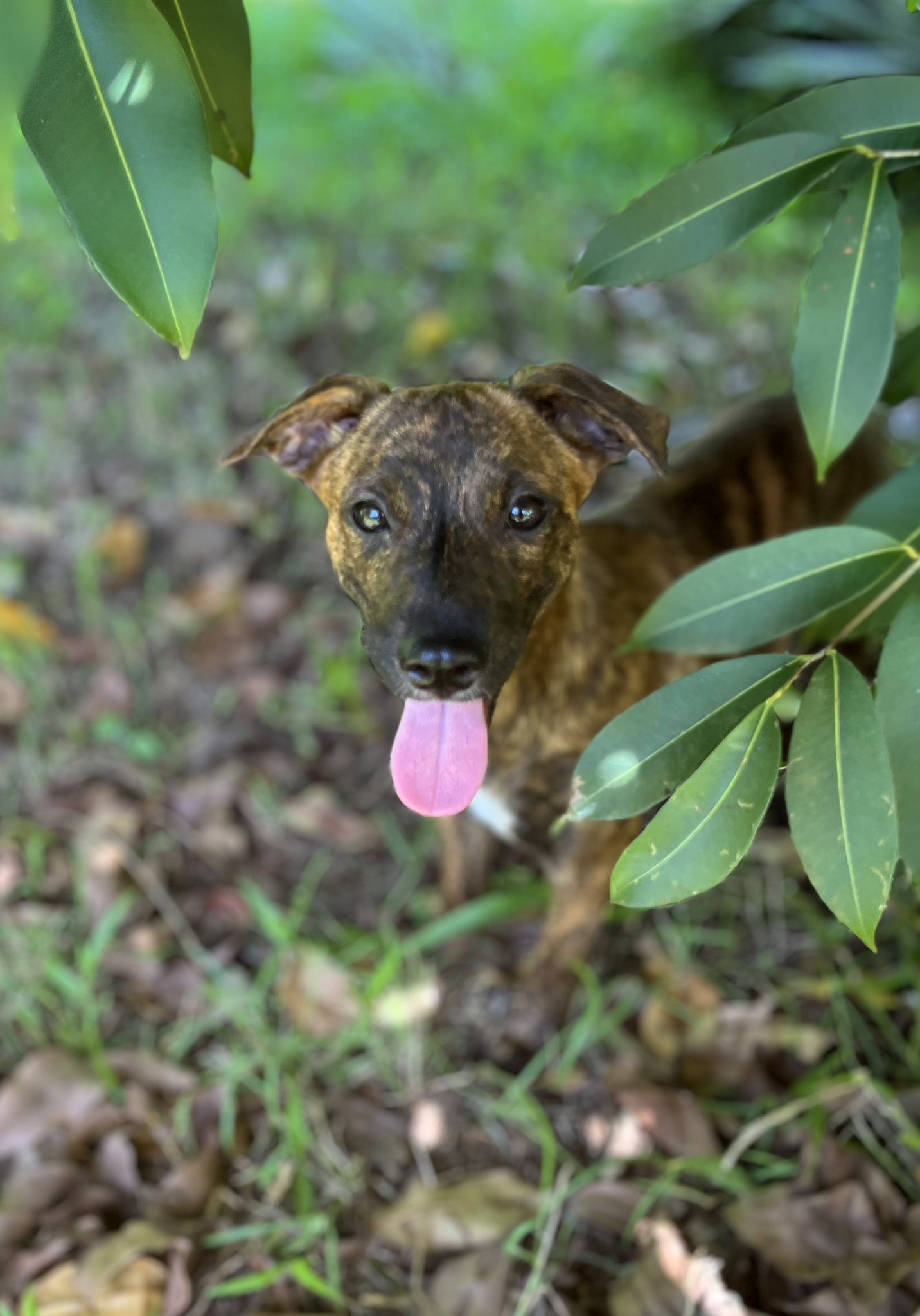 kleo/photo-1756364901455-02.jpg