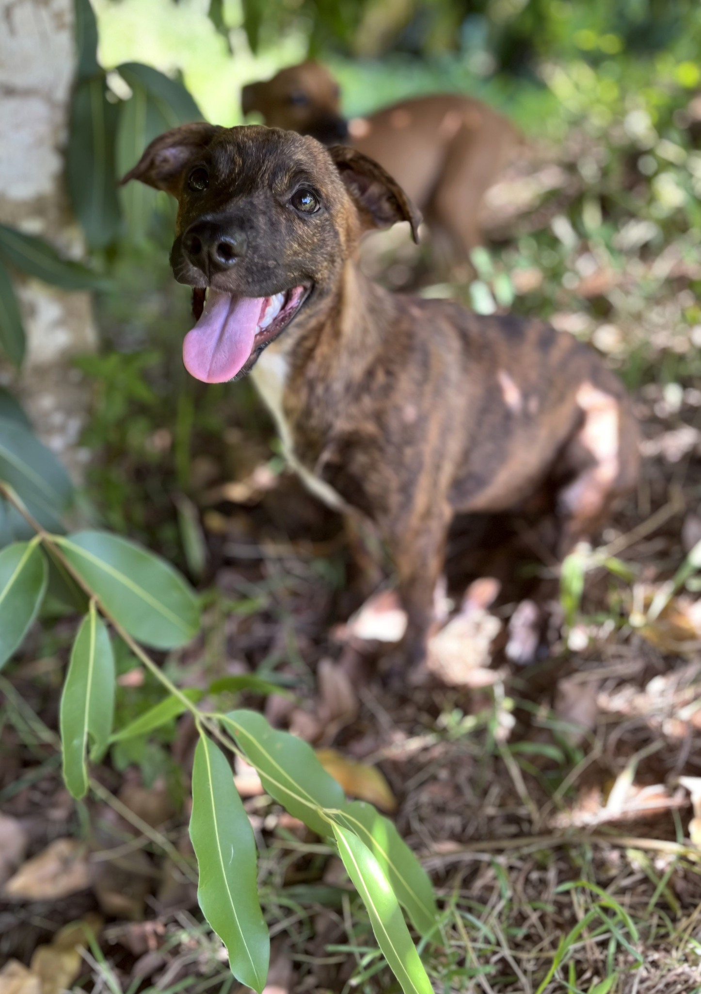 kleo/photo-1756364902537-03.jpg