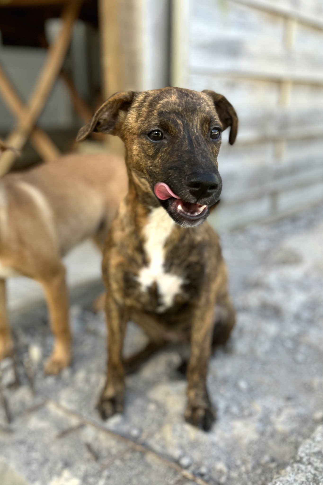 kleo/photo-1756364904660-05.jpg