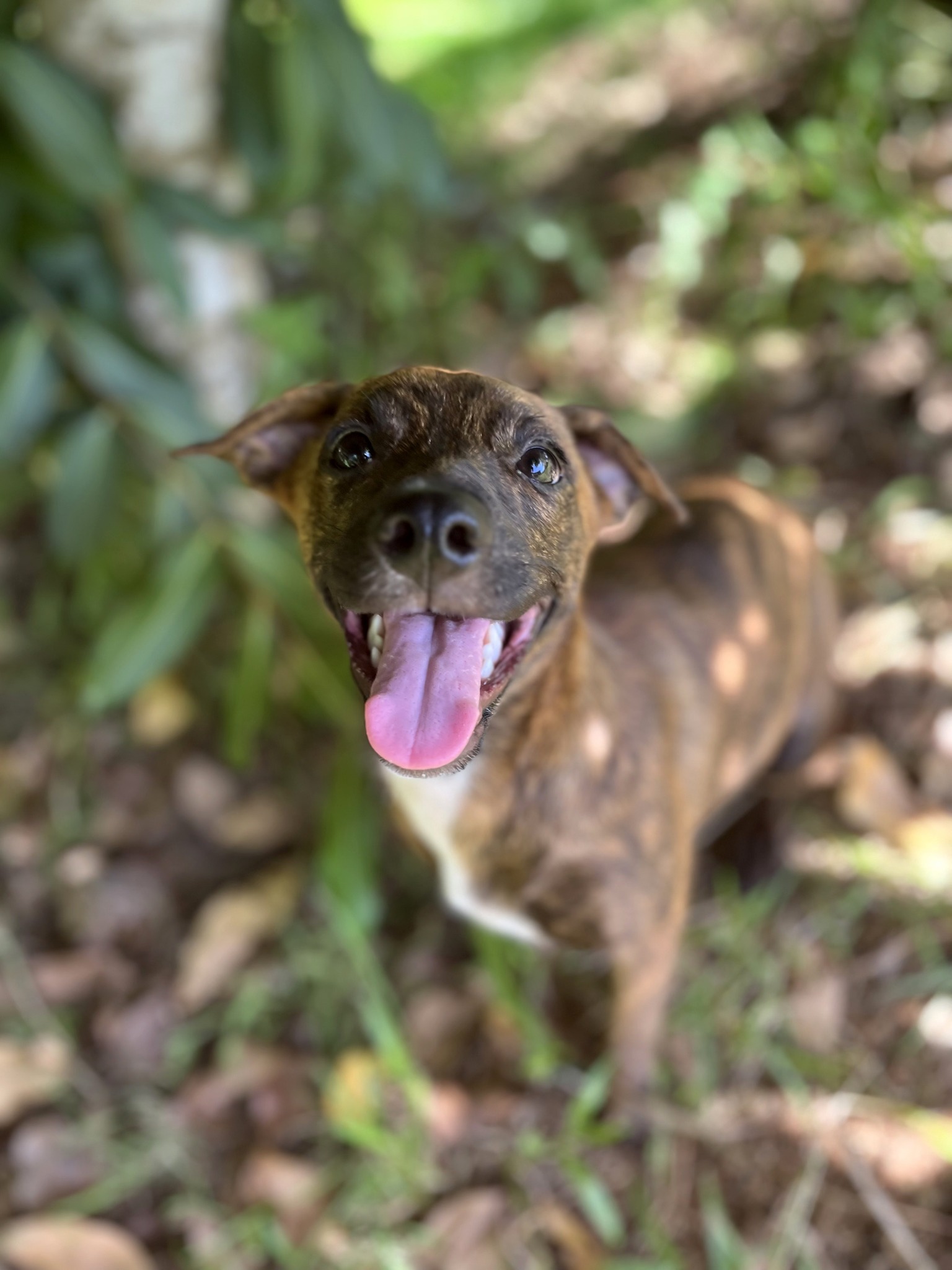 kleo/photo-1756364907860-08.jpg