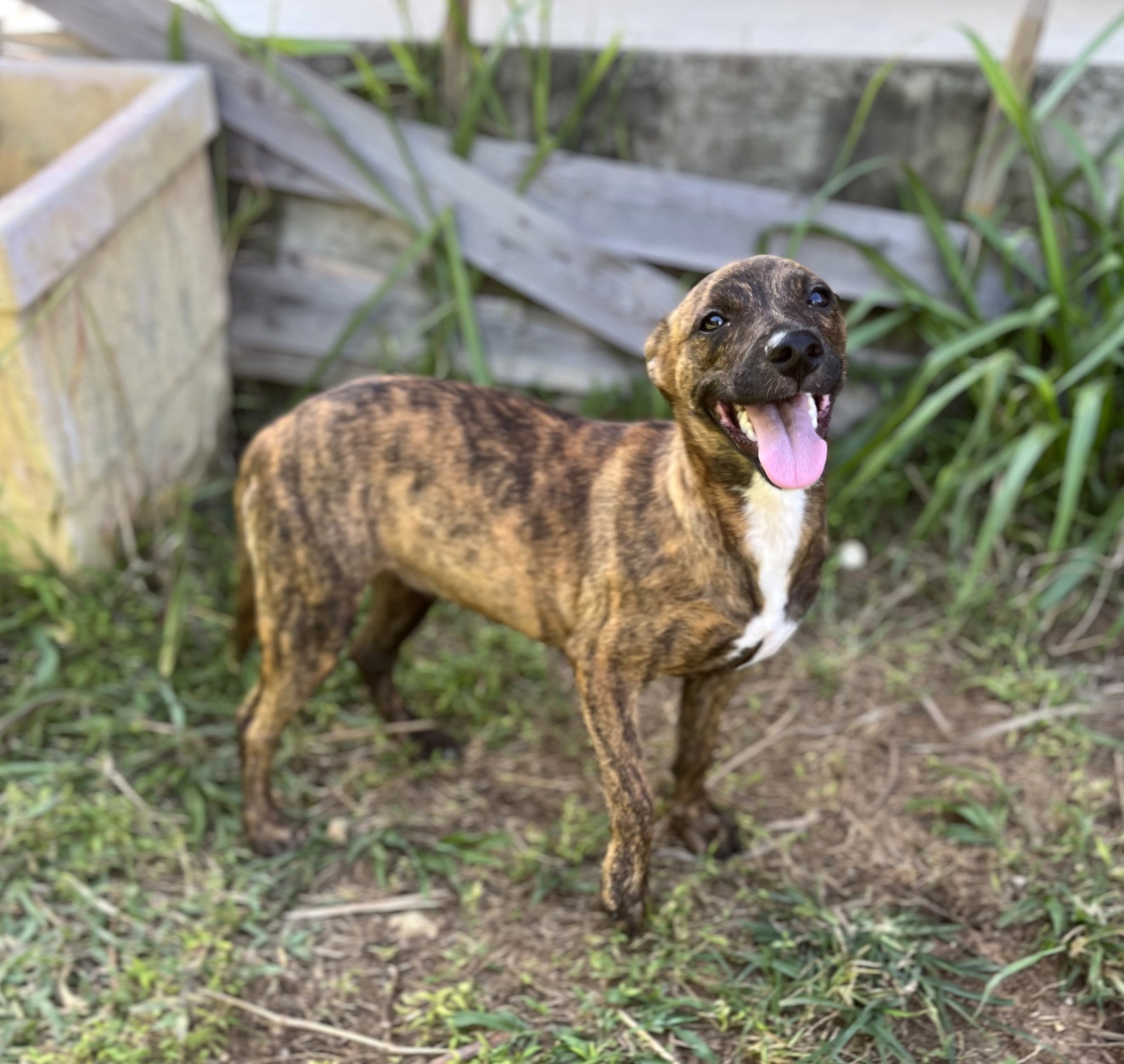 kleo/photo-1756364908938-09.jpg