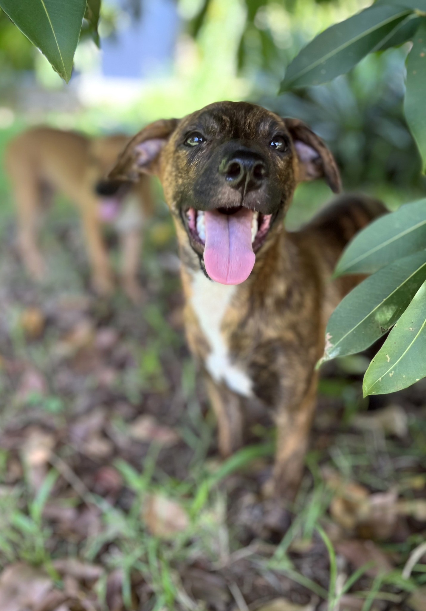 kleo/photo-1756364911064-11.jpg