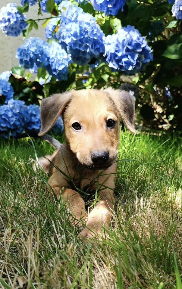lilo/photo-1751003937274-03.jpg