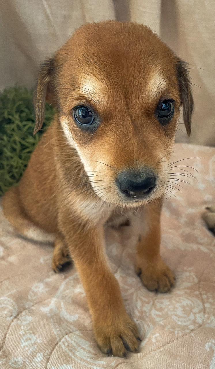 lucy/photo-1751350059976-01.jpg