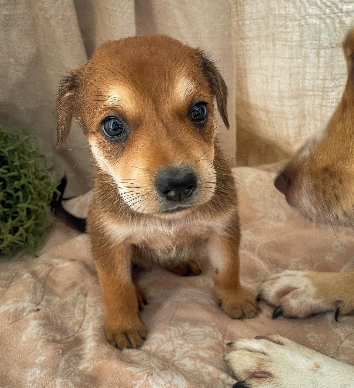 lucy/photo-1751350062093-03.jpg