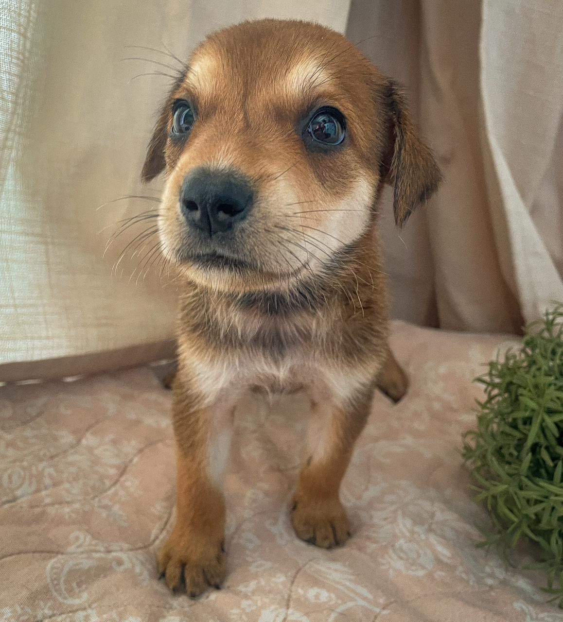 lucy/photo-1751350064217-05.jpg