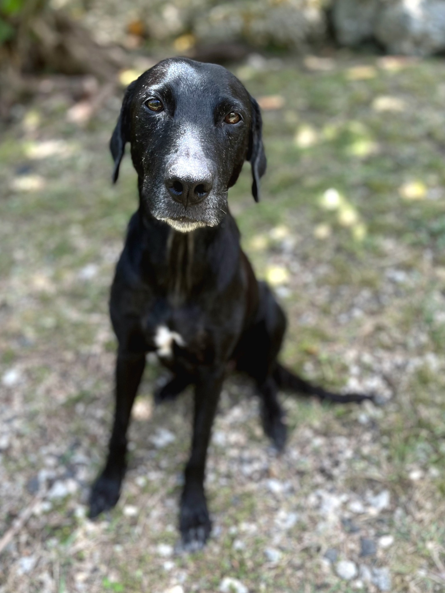 lyka/photo-1756364794208-01.jpg