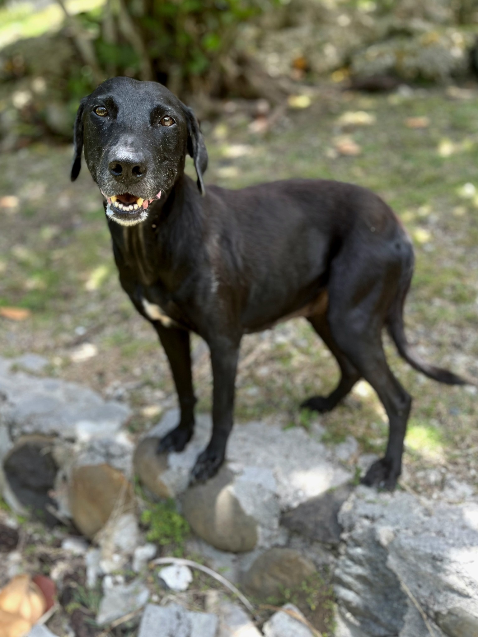 lyka/photo-1756364796347-03.jpg