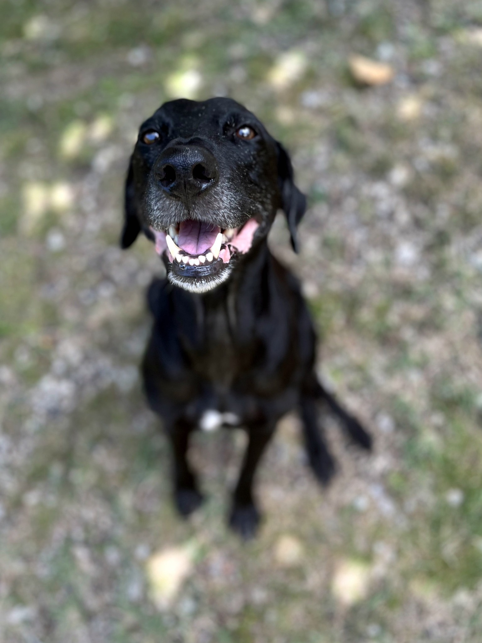 lyka/photo-1756364797388-04.jpg
