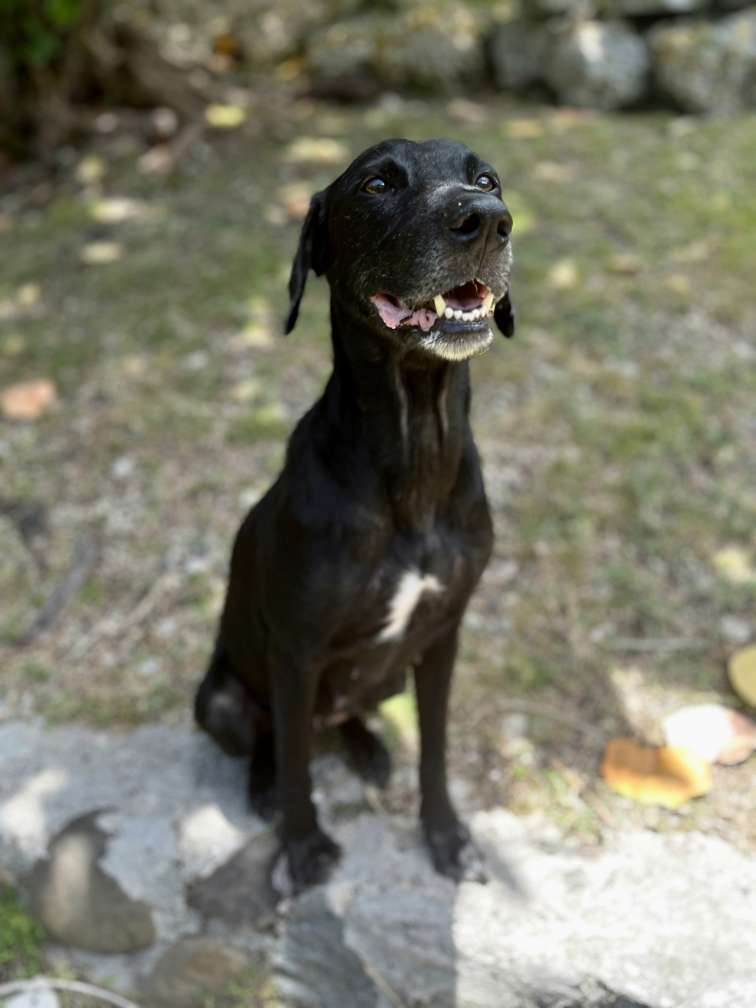 lyka/photo-1756364798477-05.jpg