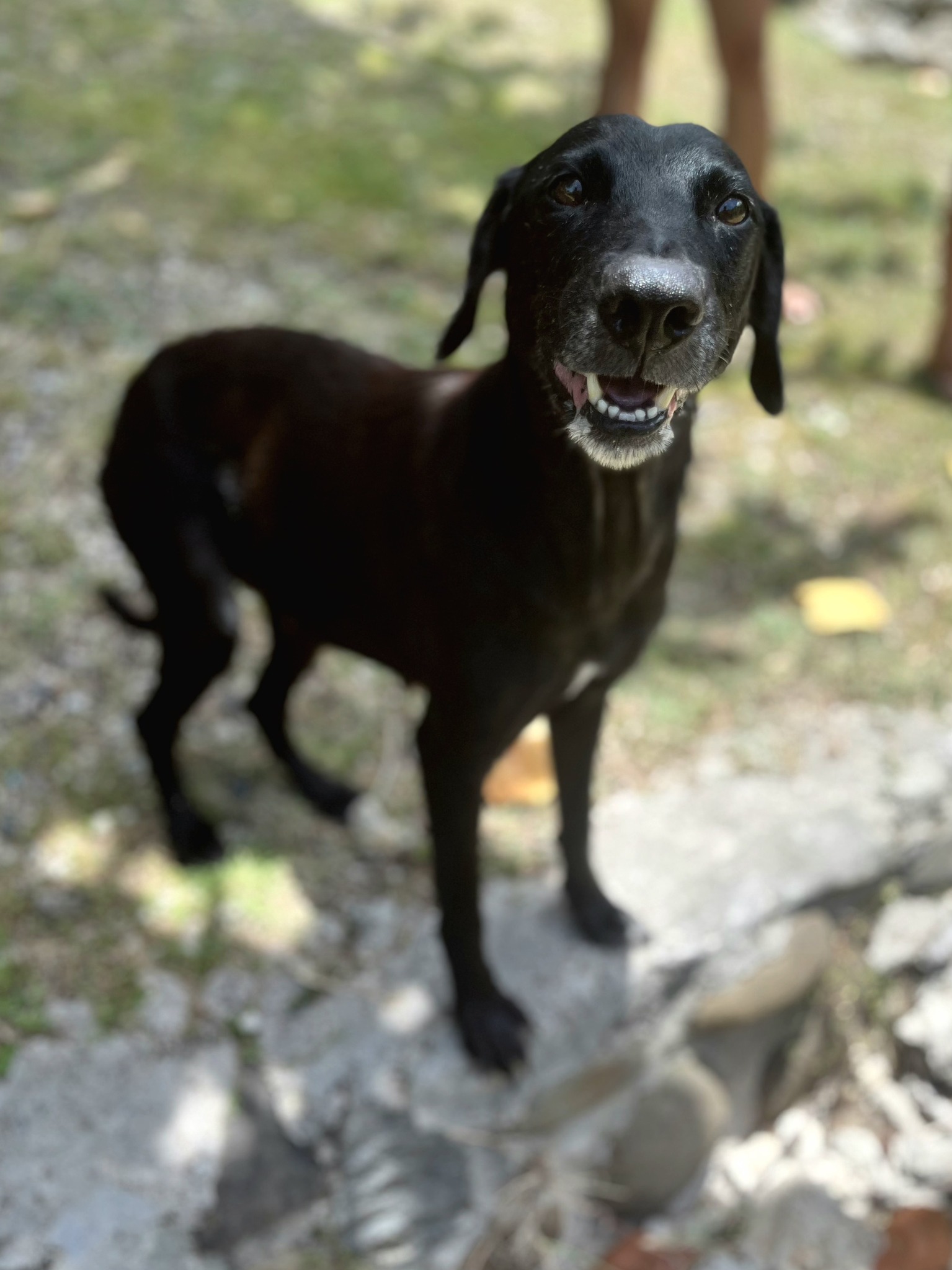 lyka/photo-1756364799540-06.jpg