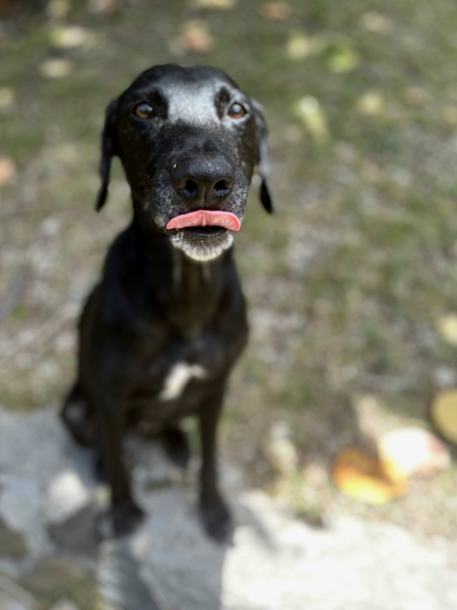 lyka/photo-1756364800607-07.jpg