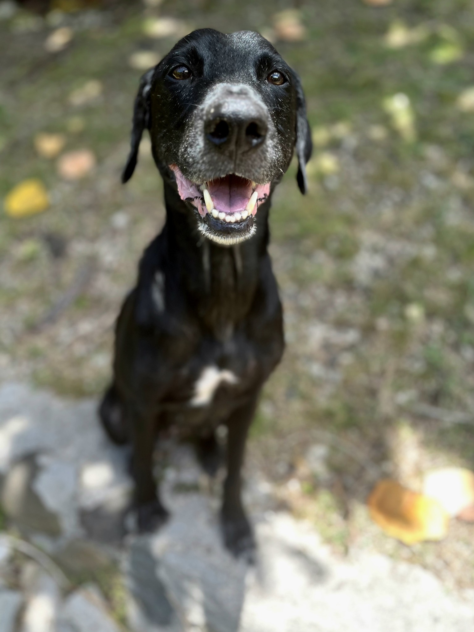 lyka/photo-1756364801672-08.jpg