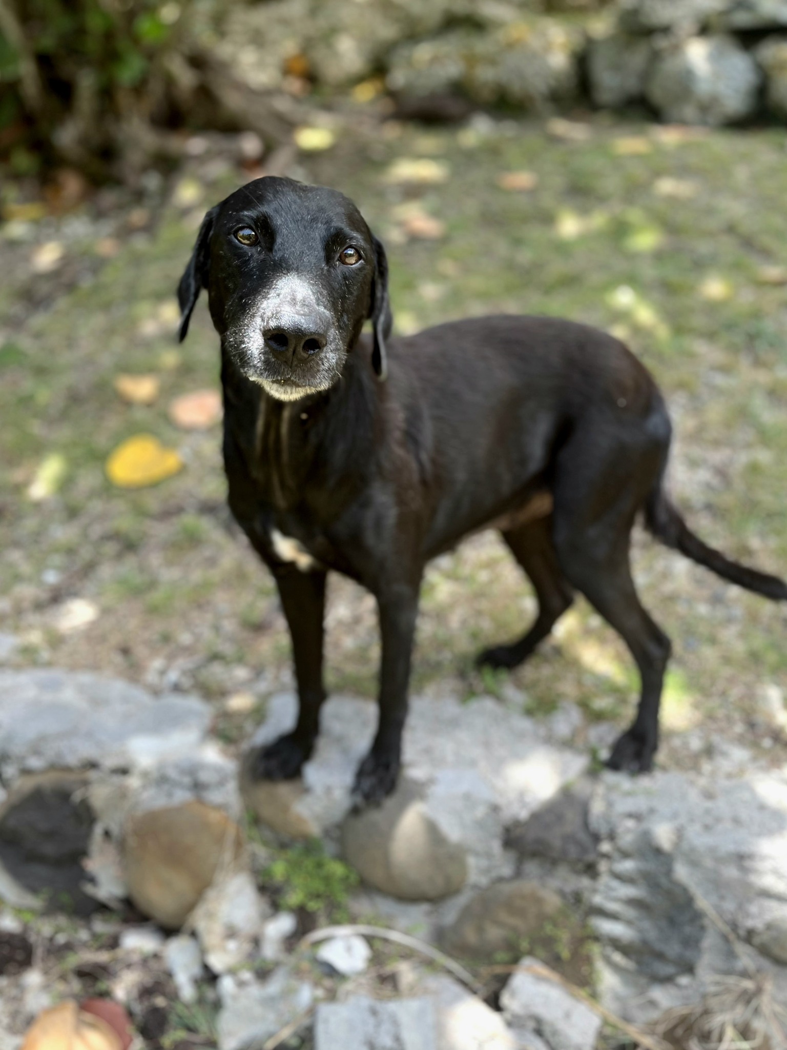 lyka/photo-1756364802745-09.jpg