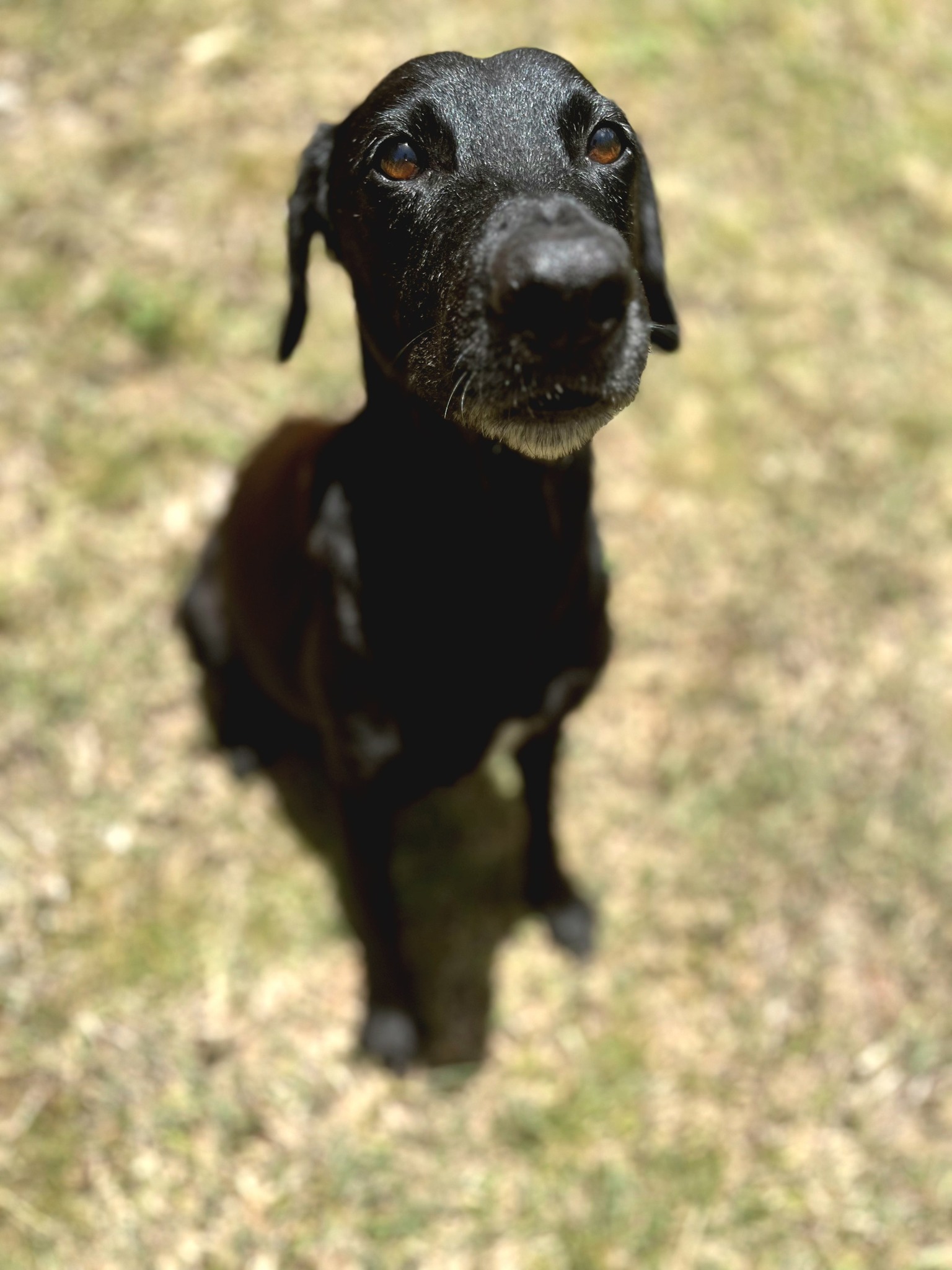 lyka/photo-1756364803809-10.jpg
