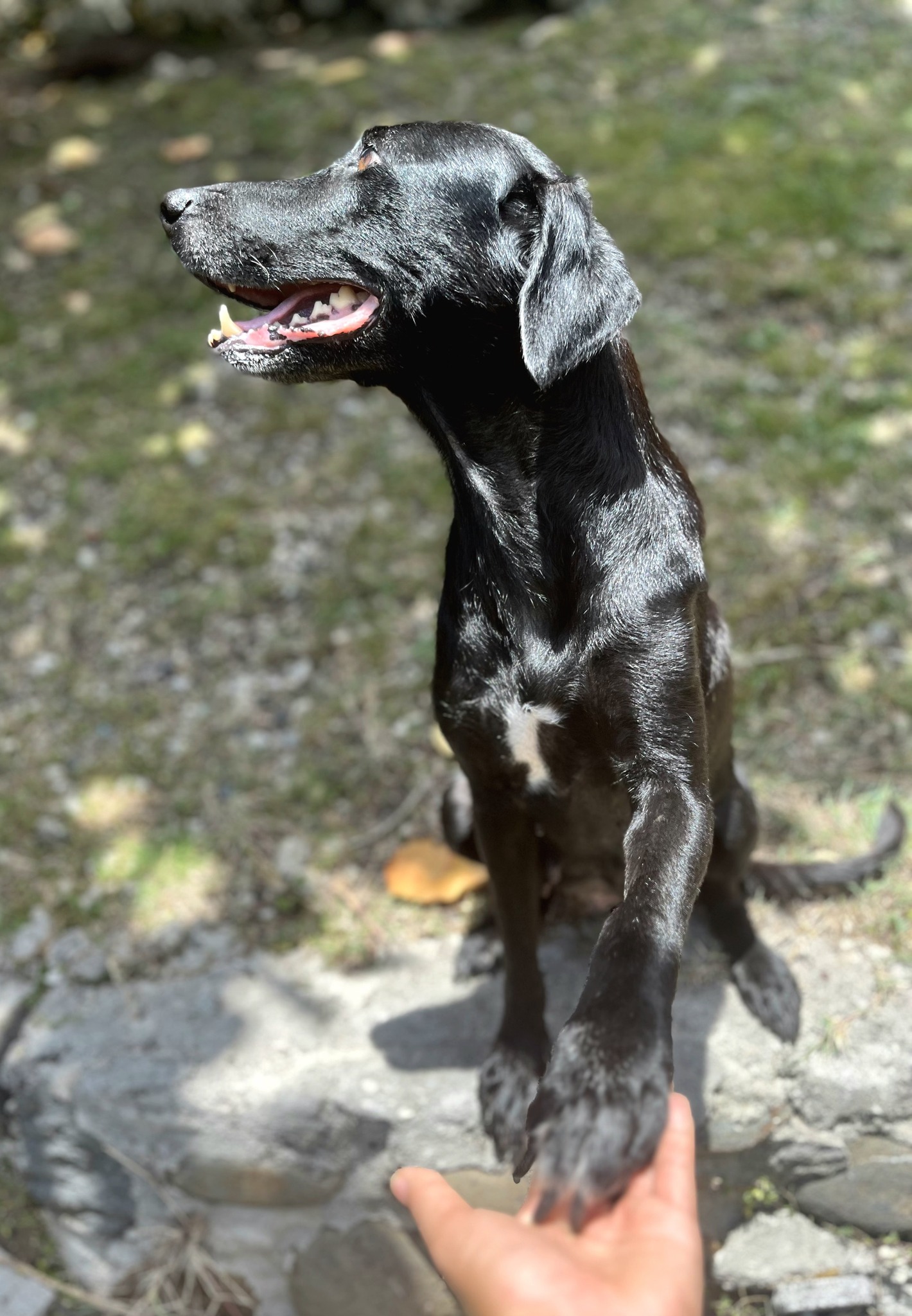 lyka/photo-1756364804884-11.jpg
