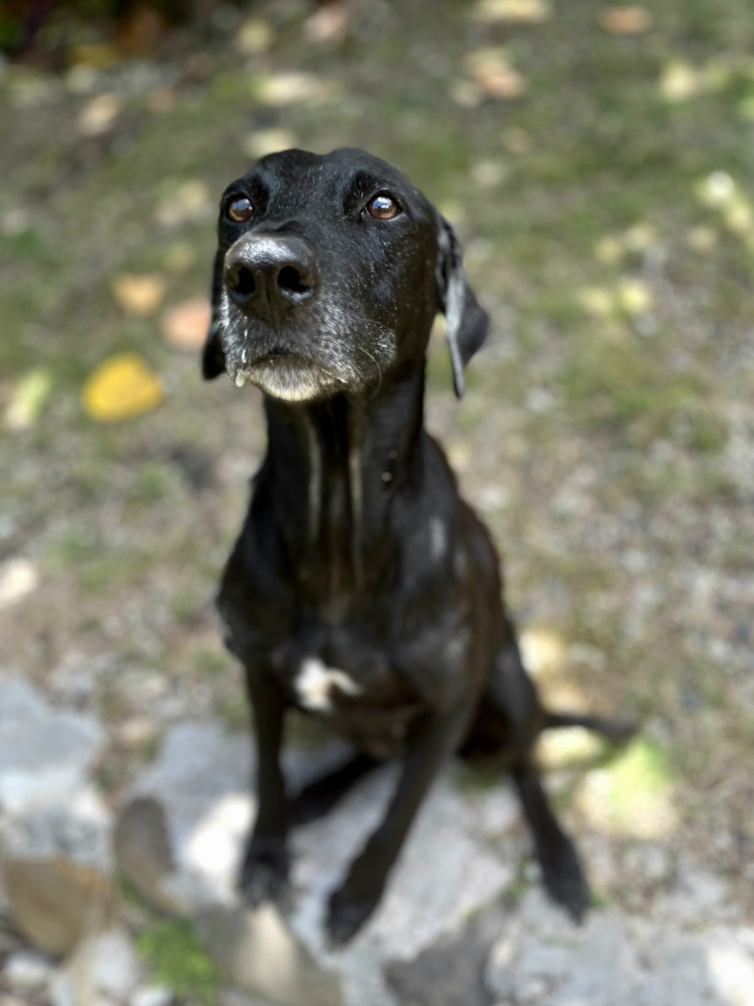 lyka/photo-1756364805940-12.jpg