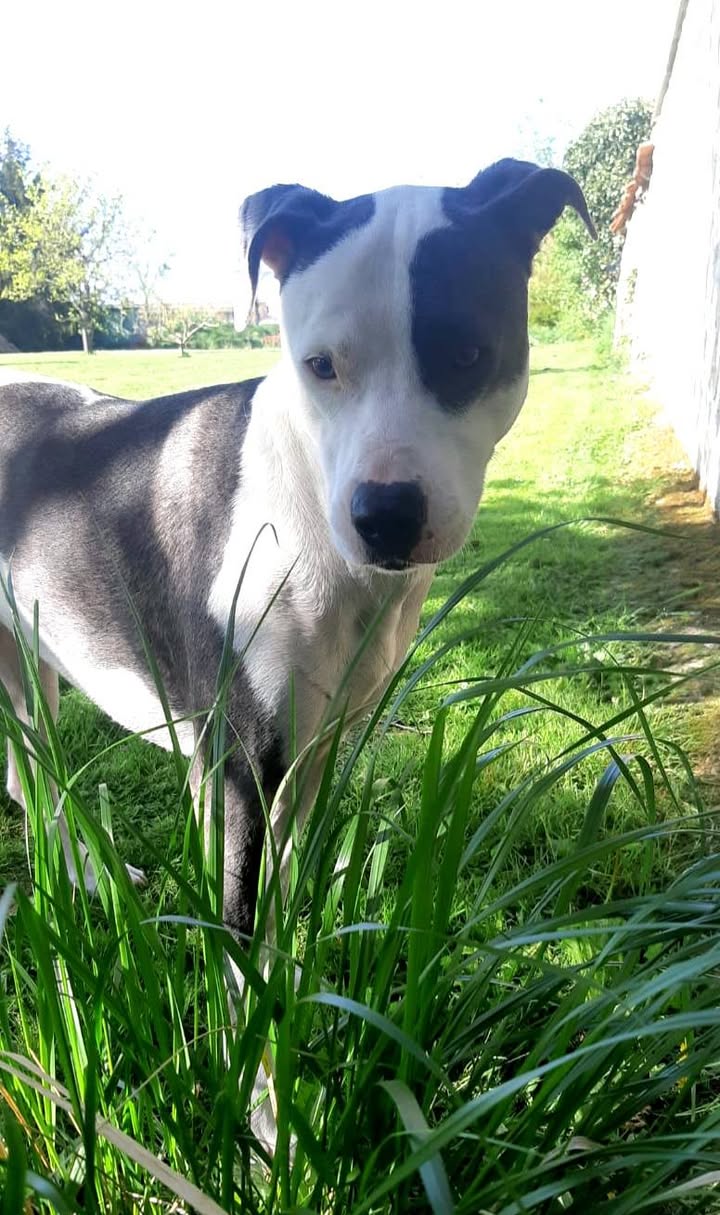 marley/photo-1746771844756-05.jpg