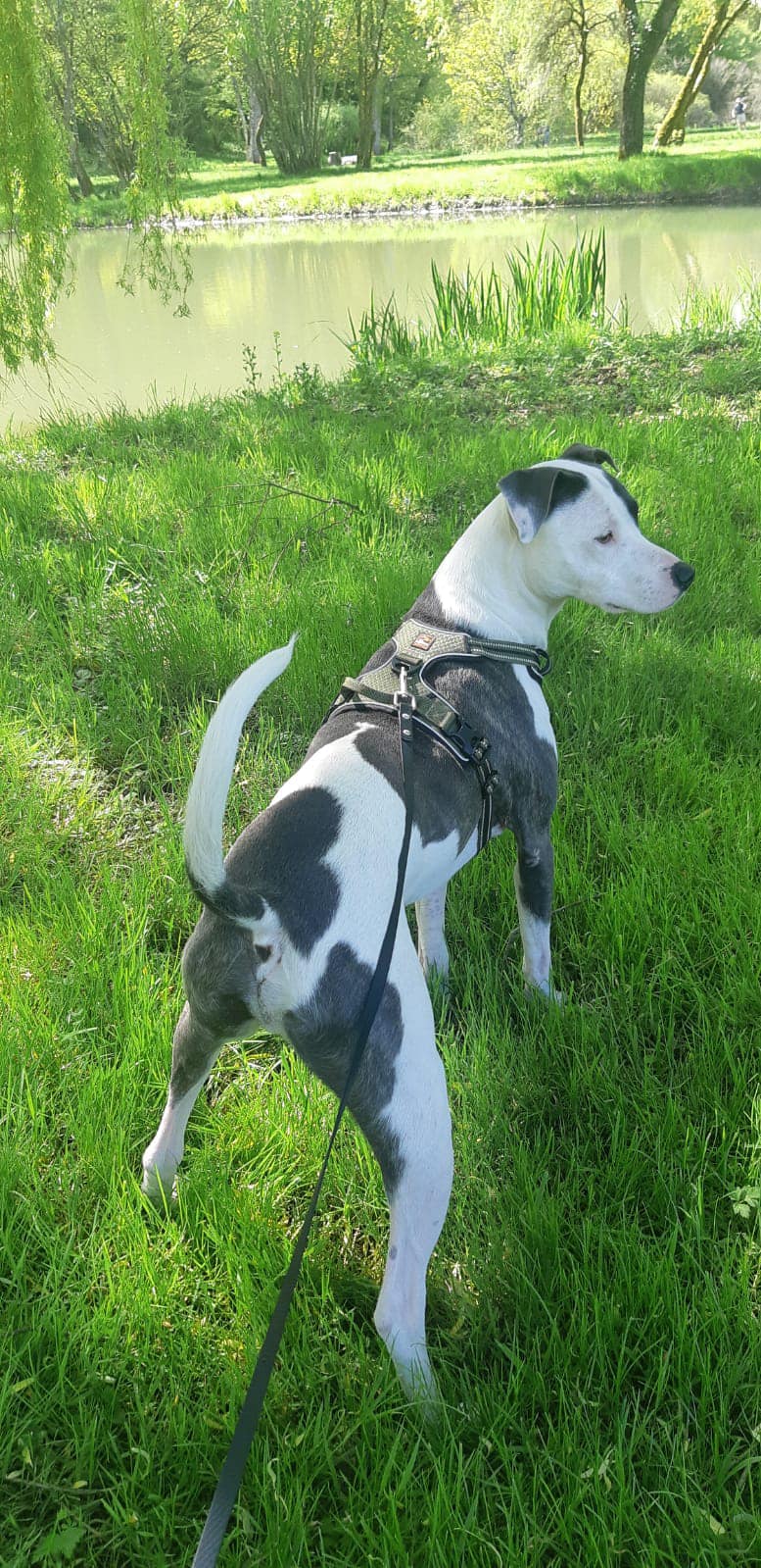 marley/photo-1751004541892-01.jpg