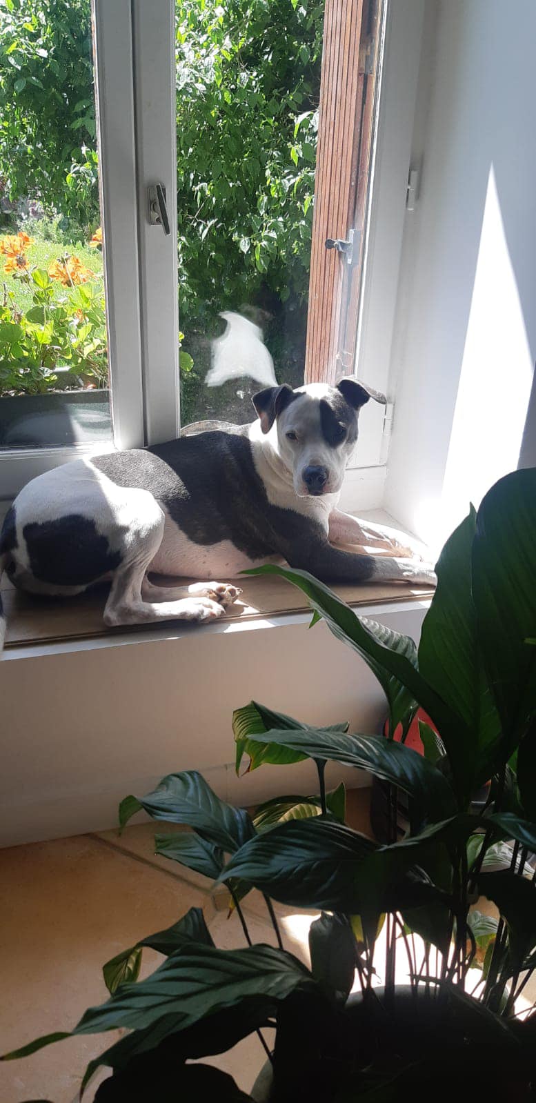 marley/photo-1751004544021-03.jpg